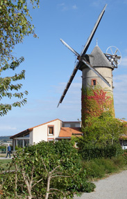 Moulin